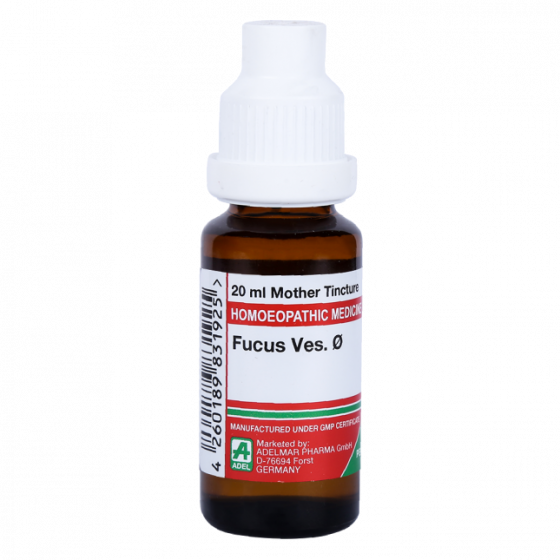 Adel Fucus Ves Mother Tincture Q