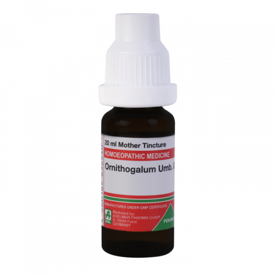 Adel Ornithogalum Umb Mother Tincture Q
