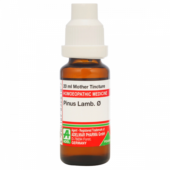 Adel Pinus lamb Mother Tincture Q 