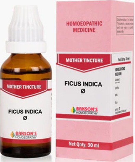 Bakson Homoeopathy Ficus Indica Mother Tincture Q