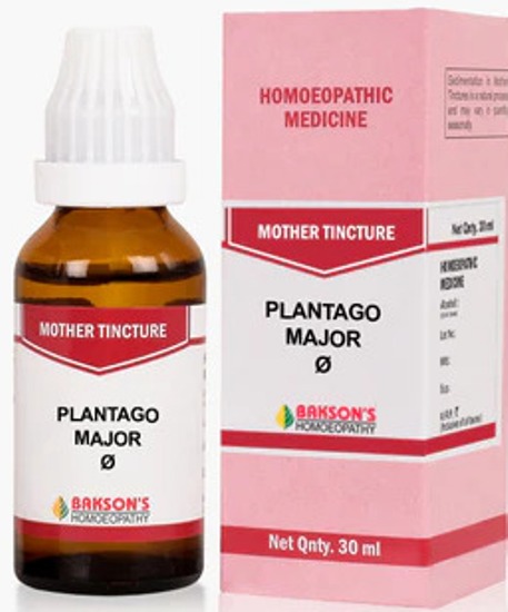 Bakson Homoeopathy Plantago Major Mother Tincture Q