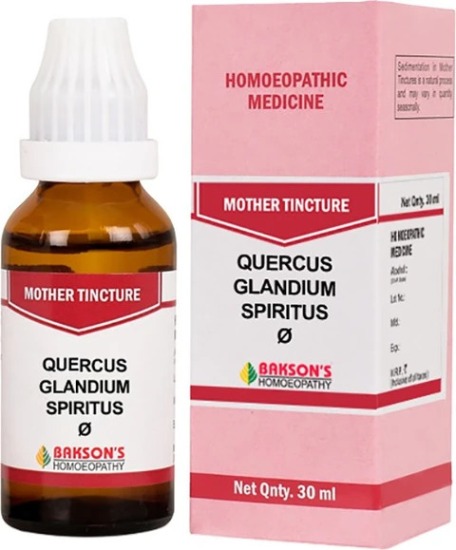 Bakson Homoeopathy Quercus Glandium Spiritus Mother Tincture Q