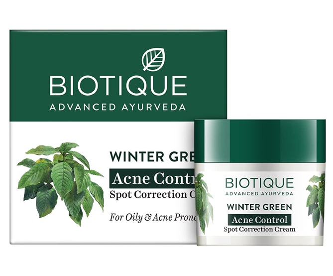 Biotique Winter Green Spot Correcting Anti Acne Cream