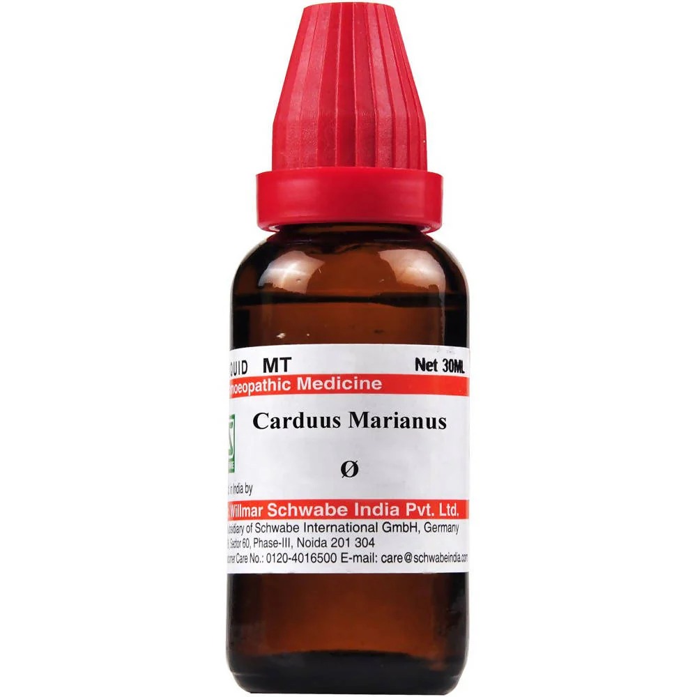 Dr Willmar Schwabe India Carduus Marianus Mother Tincture Q	