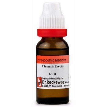 Dr. Reckeweg Clematis Erecta 6 CH Dilutions