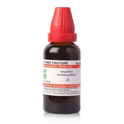 Dr. Willmar Schwabe India Angelica Archangelica Mother Tincture Q