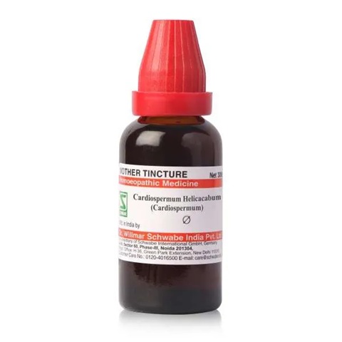 Dr. Willmar Schwabe India Cardiospermum Helicacabum (Cardiospermum) Mother Tincture Q