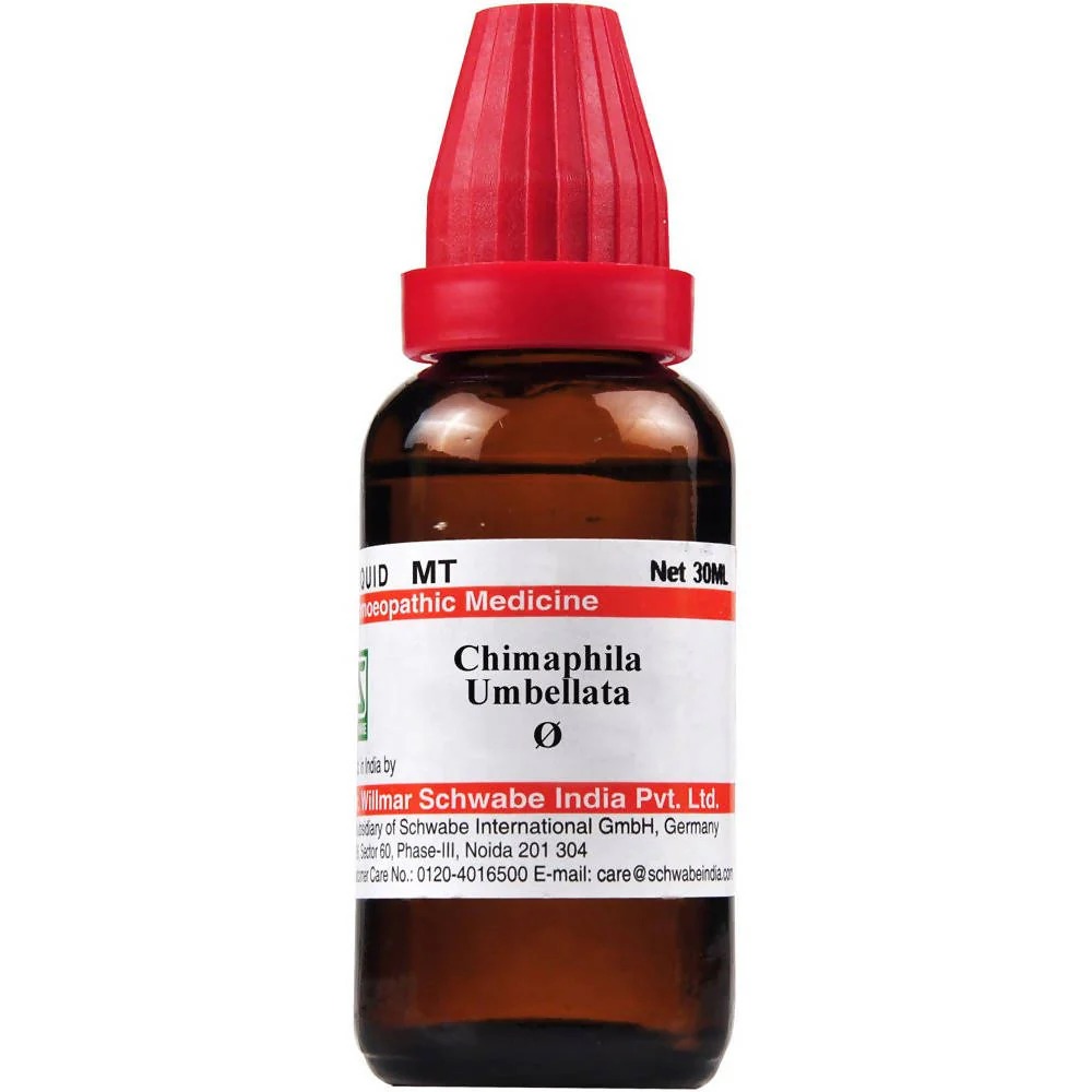 Dr. Willmar Schwabe India Chimaphila Umbellata Mother Tincture Q	