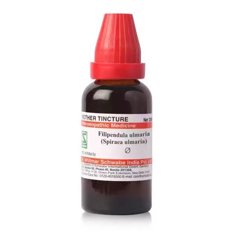Dr. Willmar Schwabe India Filipendula Ulmaria (Spiraea Ulmaria) Mother Tincture Q