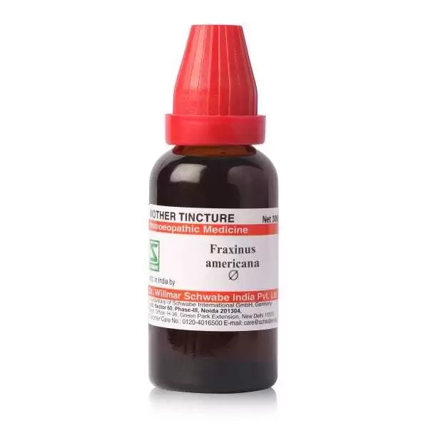 Dr. Willmar Schwabe India Fraxinus Americana Mother Tincture 