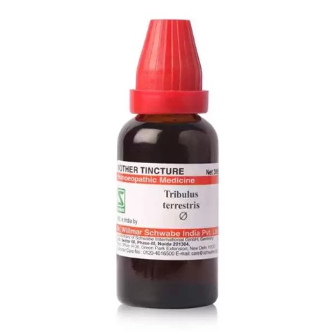 Dr. Willmar Schwabe India Tribulus Terrestris Mother Tincture Q