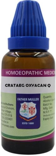 Father Muller Crataegus Oxyacantha Q