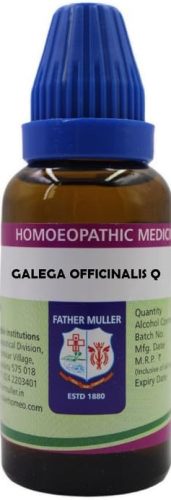 Father Muller Gambogia Q