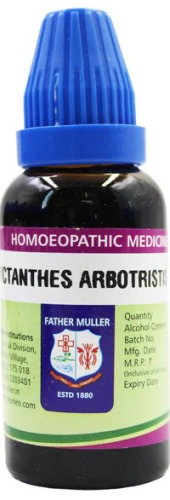 Father Muller Nyctanthes Arbortristis Q