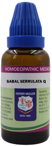 Father Muller Sabal Serrulata Q