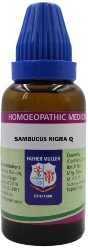 Father Muller Sambucus Nigra Q