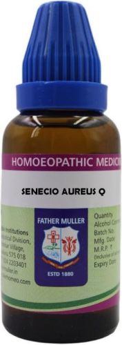 Father Muller Senecio Aureus Q