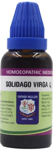 Father Muller Solidago Virgaurea Q