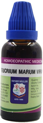 Father Muller Teucrium Marum Virum Q