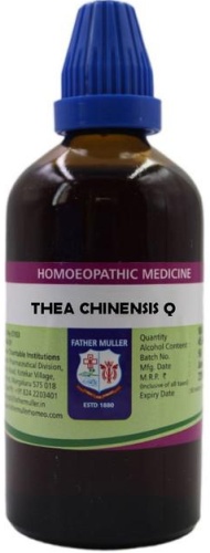 Father Muller Thea Chinensis Q