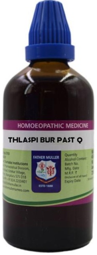 Father Muller Thlaspi Bursa Pastoris Q