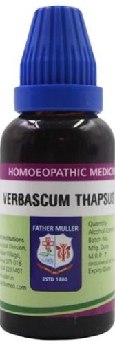 Father Muller Verbascum Thapsus Q