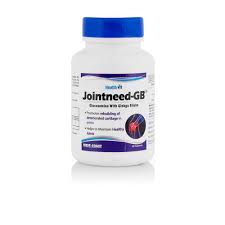 Healthvit Jointneed-GB Glucosamine and Ginkgo Biloba
