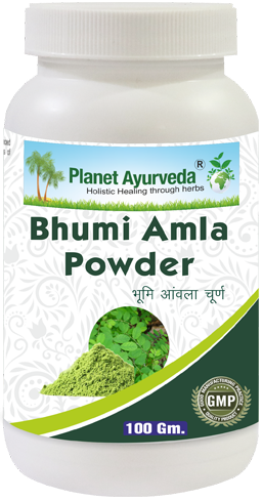 Planet Ayurveda Amla Powder