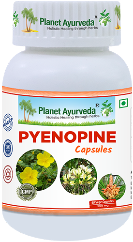 Planet Ayurveda Pyenopine Capsules