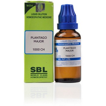 SBL Plantago Major 1000 CH Dilution