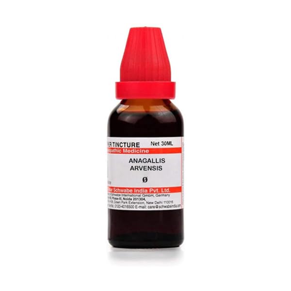 Schwabe Anagallis Arvensis Mother Tincture Q