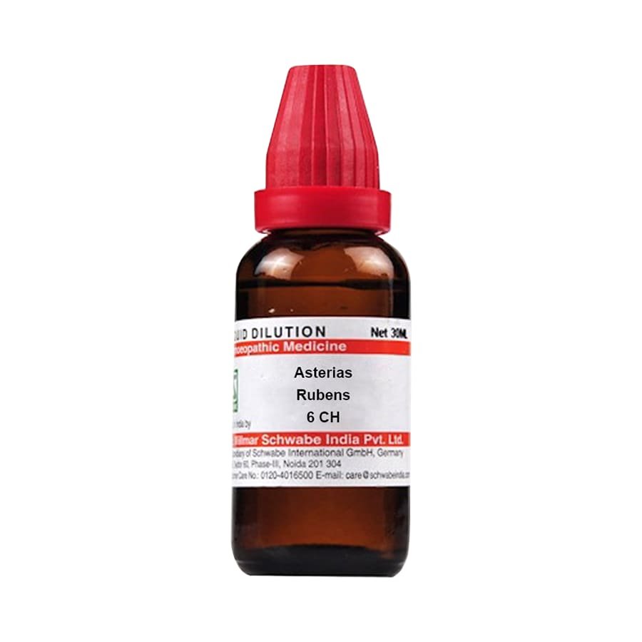 Schwabe Asterias Rubens 6 CH Dilutions