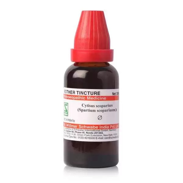 Schwabe Cytisus Scoparius (Spartium scoparium) Mother Tincture Q