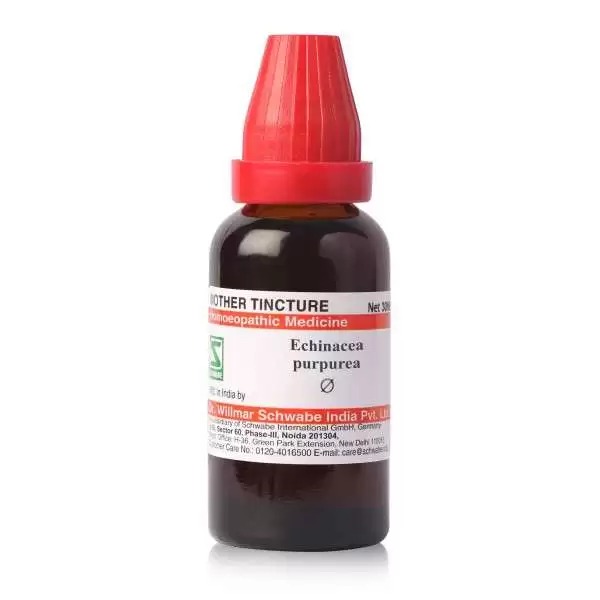 Schwabe Echinacea Purpurea Mother Tincture Q