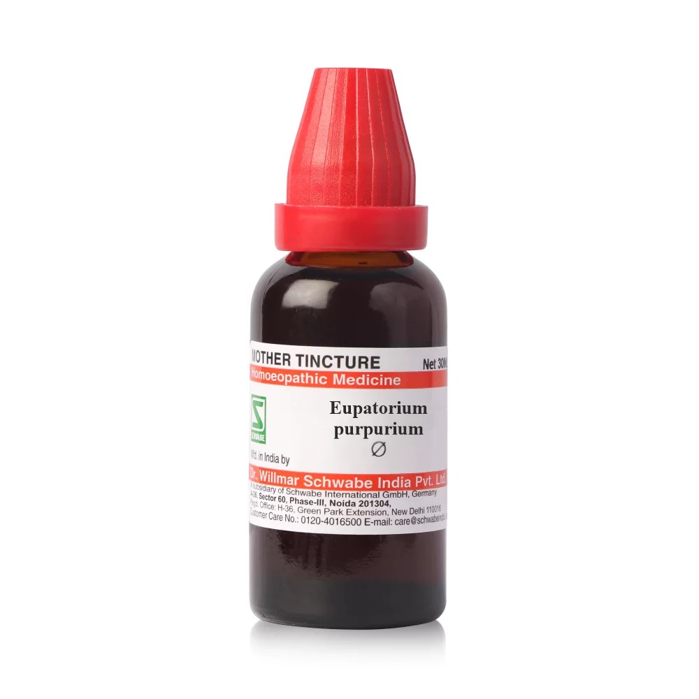 Schwabe Eupatorium Purpurium Mother Tincture Q