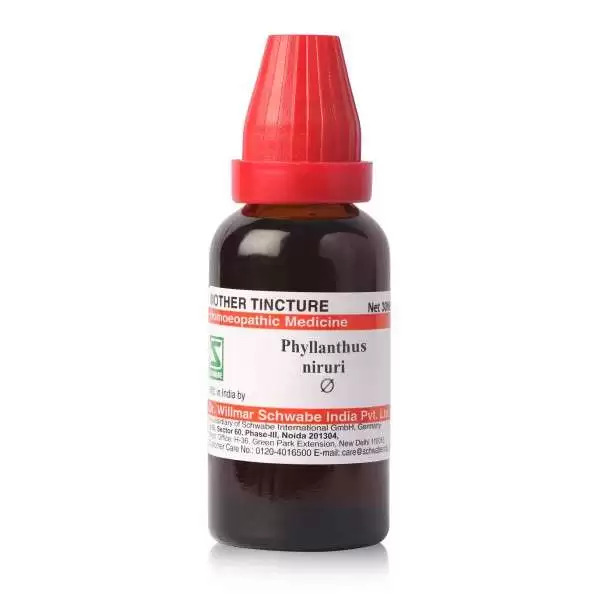 Schwabe Phyllanthus Niruri Mother Tincture Q