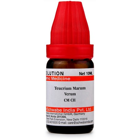 Schwabe Teucrium Marum Virum CM CH Dilutions