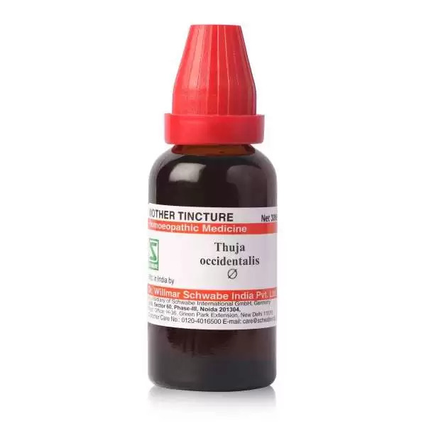 Schwabe Thuja Occidentalis  Mother Tincture Q