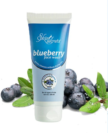 Skin Secrets Blueberry Face Wash