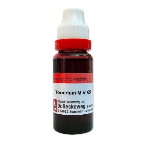 Dr. Reckeweg Homeopathy Teucrium mar. Q Mother Tincture